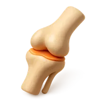 Knee Joint Bone 3D icon