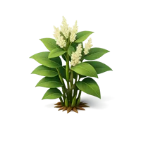 Knotweed 3D icon
