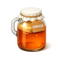 Kombucha Jug 3D icon