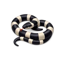 Krait Snake 3D icon