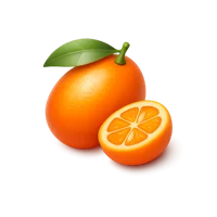 Kumquat 3D icon