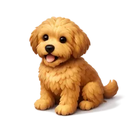 Labradoodle 3D icon