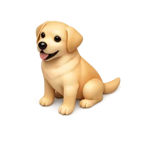 Labrador 3D icon