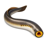 Brown Lamprey 3D icon