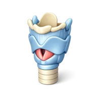 Larynx 3D icon