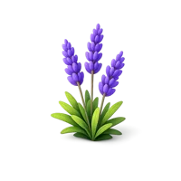 Lavender 3D icon