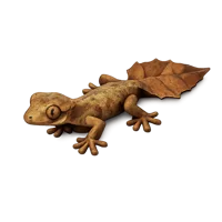 Leaf-Tailed Gecko 3D icon