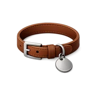 Leather Collar 3D icon