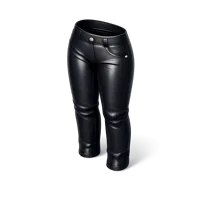 Leather Pants 3D icon