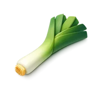 Leek 3D icon