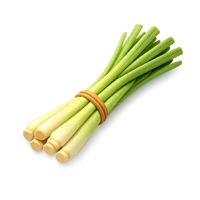 Lemongrass 3D icon