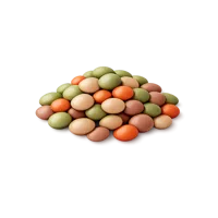 Lentils 3D icon
