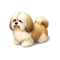 Lhasa Apso 3D icon