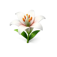 Lily Flower 3D icon