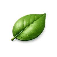 Lime Leaf 3D icon