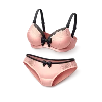 Lingerie 3D icon