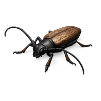 Longhorn Beetle 3D icon