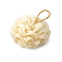 Loofah 3D icon