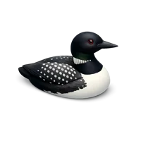 Loon 3D icon
