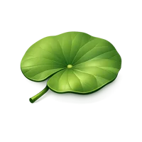 Lotus Leaf 3D icon