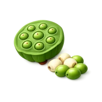 Lotus Seeds 3D icon