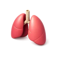Lung 3D icon