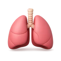 Lungs 3D icon