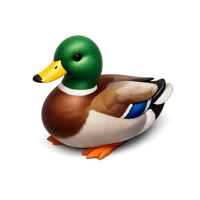 Mallard Duck 3D icon