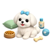 Maltese Bichon 3D icon
