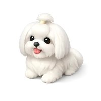 Maltese Dog 3D icon