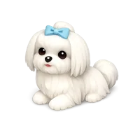 Maltese 3D icon