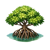 Mangrove Tree 3D icon