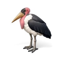 Marabou Stork 3D icon