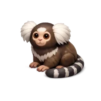 Brown Marmoset 3D icon