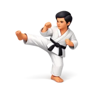 Orange Martial Arts 3D icon