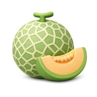 Melon 3D icon
