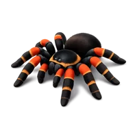 Mexican Red Knee Tarantula 3D icon