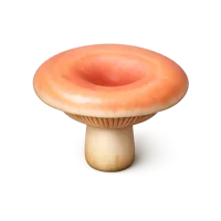 Milk Cap Mushroom 3D icon