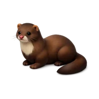 Mink 3D icon