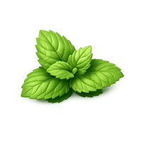 Mint Leaf 3D icon