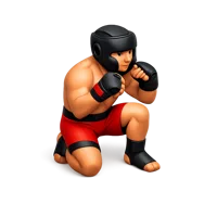 MMA 3D icon