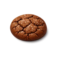Molasses Cookie 3D icon