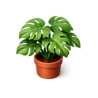 Green Monstera 3D icon