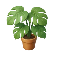 Monstera 3D icon