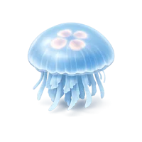 Moon Jellyfish 3D icon