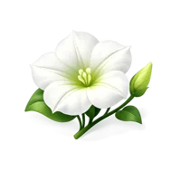 Moonflower 3D icon