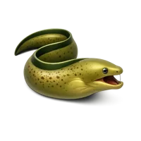 Moray Eel 3D icon