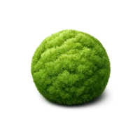 Moss Ball 3D icon