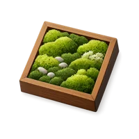 Moss Frame 3D icon
