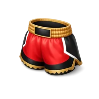 Muay Thai Shorts 3D icon
